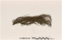 藏品(廣生松蘿)的圖片